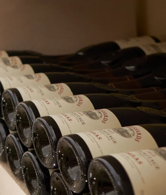 Vintage 2024: first impressions from the cellar