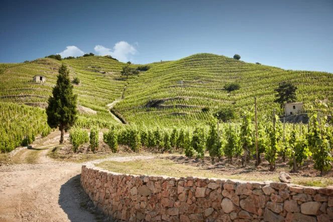 le terroir des bessards