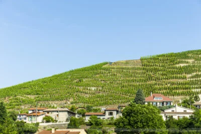 La Landonne
