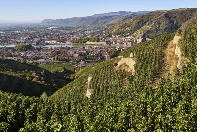 le terroir de ligne de crête