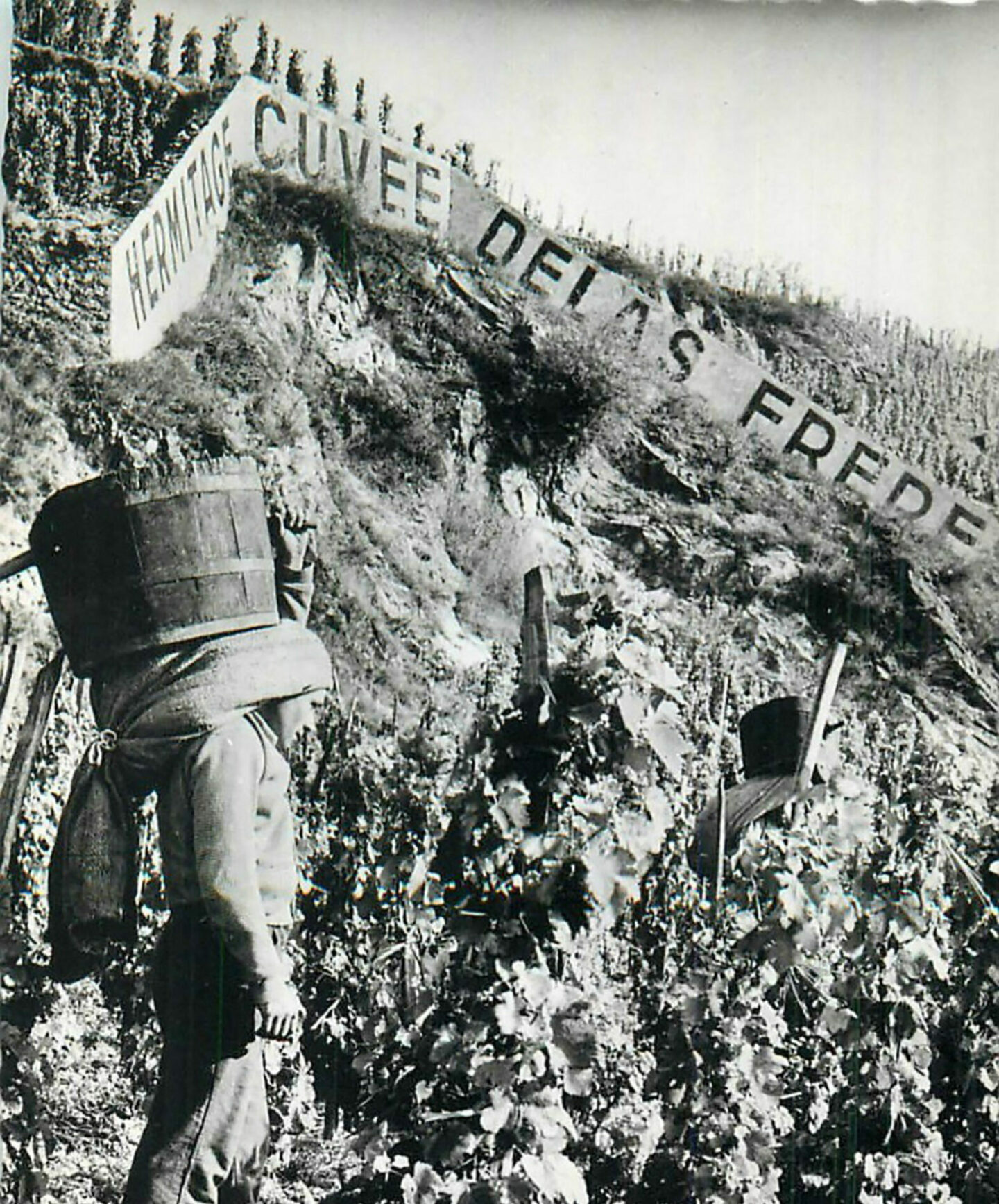 L'HISTOIRE