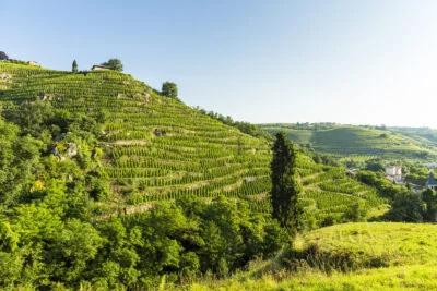 Clos Boucher