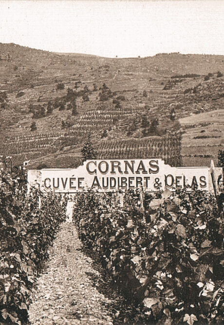 1870 
Philippe Delas et Charles Audibert s’associent et reprennent la Maison Junique à Tournon avec une mission claire : perpétuer et partager la qualité unique des vins de l’Hermitage, tout en révélant les grands terroirs du Rhône Nord.