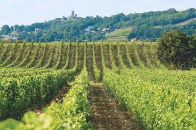 Domaine des Grands Chemins