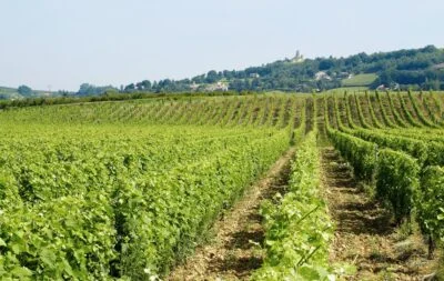 Domaine des Grands Chemins