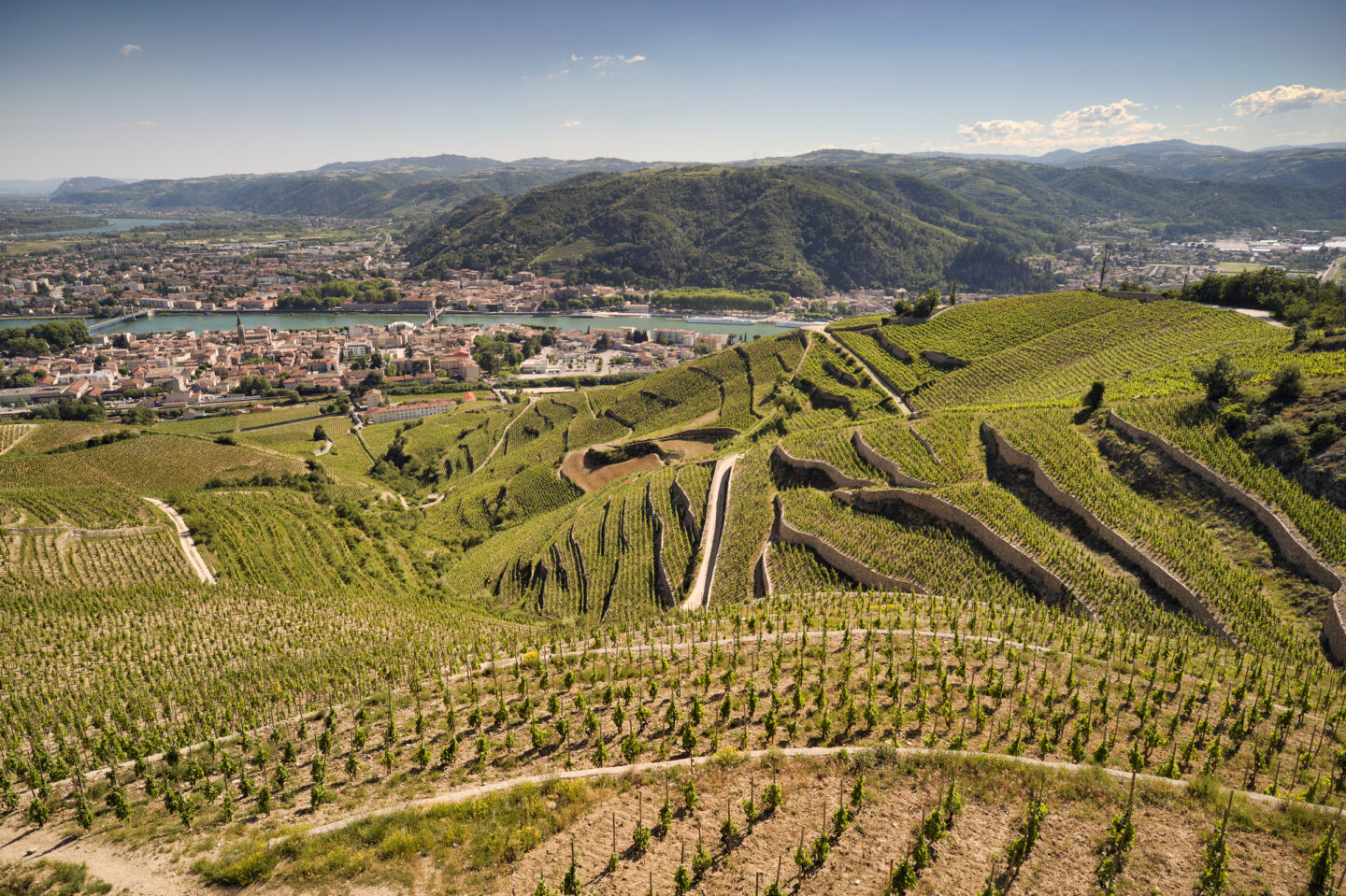 COLLECTION DOMAINES & TERROIRS